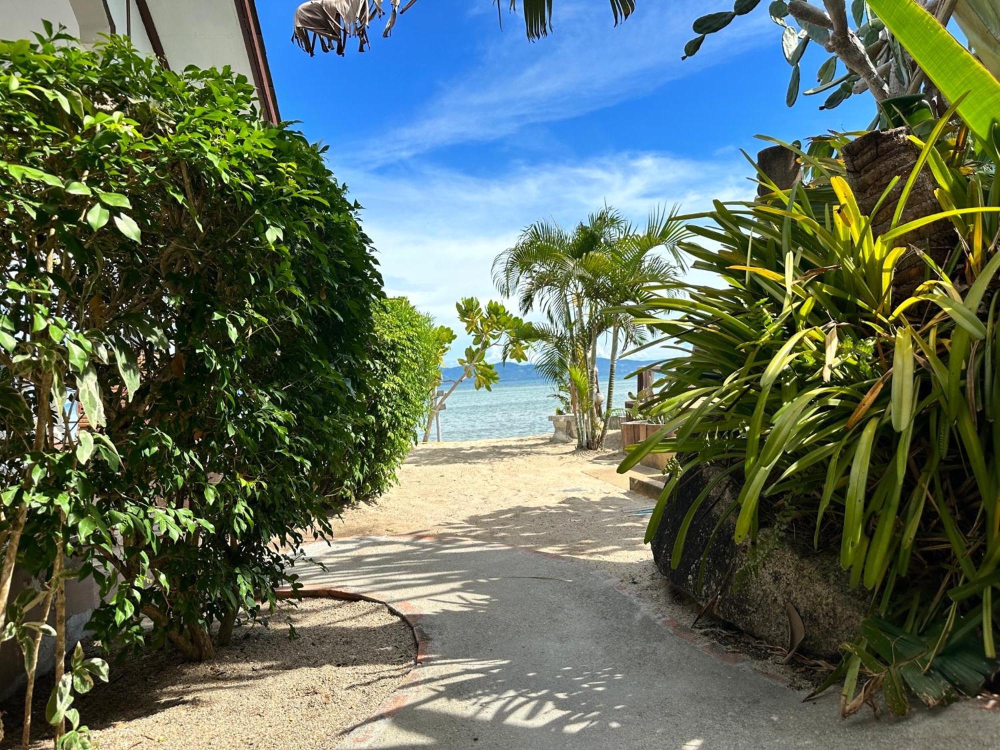באן תאי Phangan Lodge מראה חיצוני תמונה